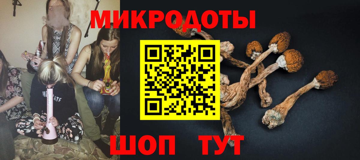 Псилоцибиновые грибы Psilocybine cubensis Александров