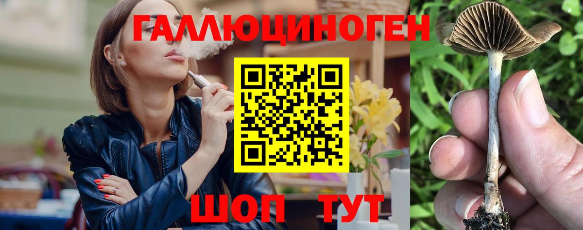 Псилоцибиновые грибы мицелий  Вход с VPN  Псилоцибиновые грибы Cubensis  Александров 